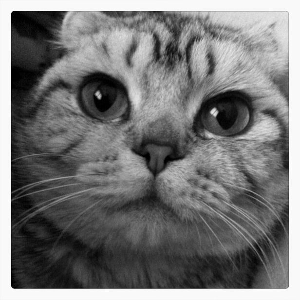 深圳必克英语少儿课程好不好?家长们觉得课程