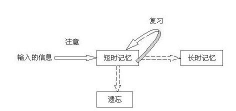 英语口语一对一线上外教课程