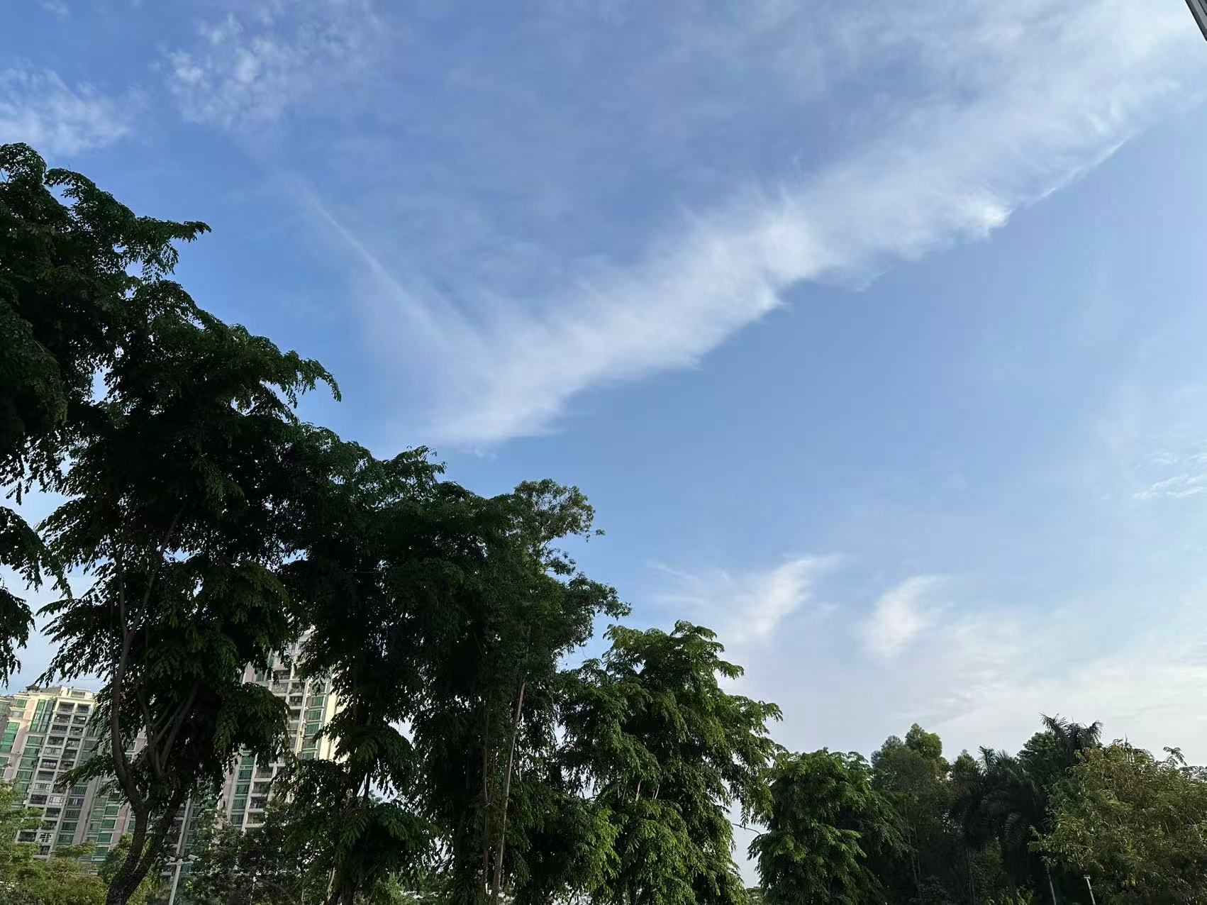 线上英语培训机构